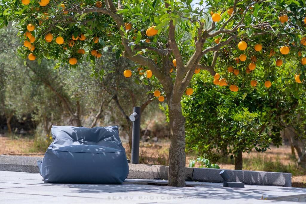 Villa Orange Tree Porto Heli Esterno foto