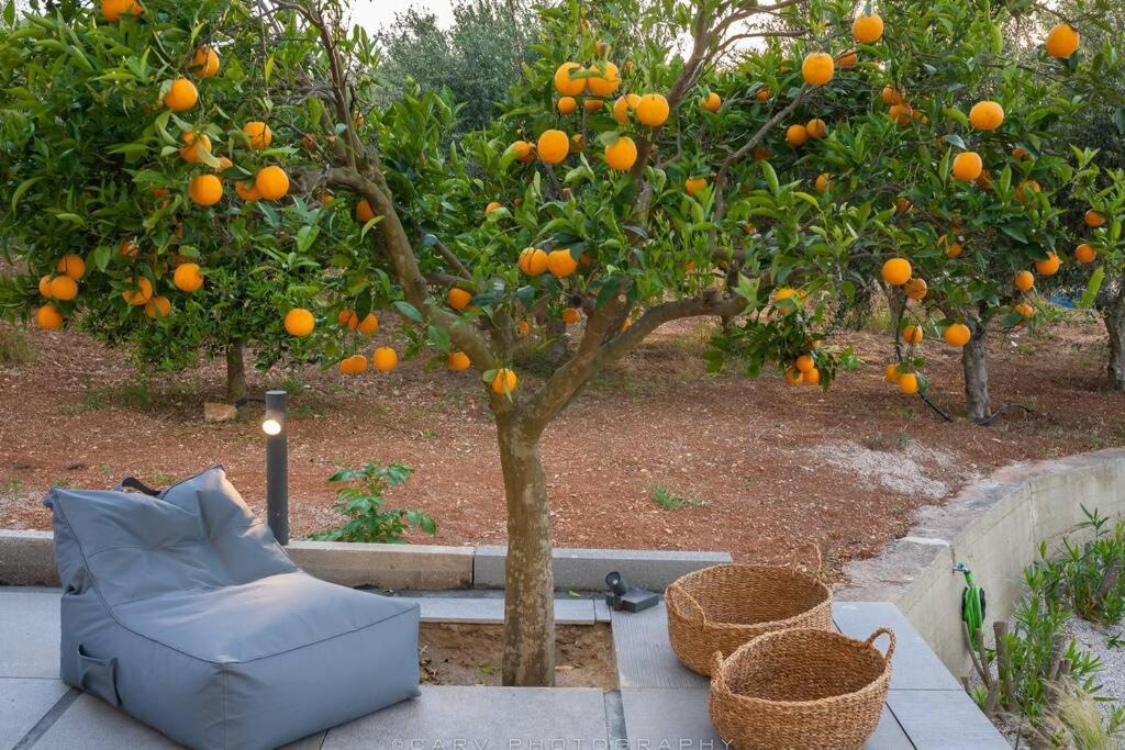 Villa Orange Tree Porto Heli Esterno foto